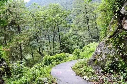 小猫钓鱼游戏龙王版有船